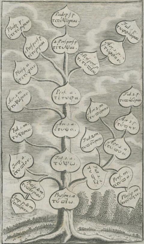 A sketched tree with large leaves connecting to one another, with Greek writing on each leaf