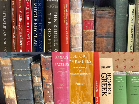 Two shelves of assorted colored books