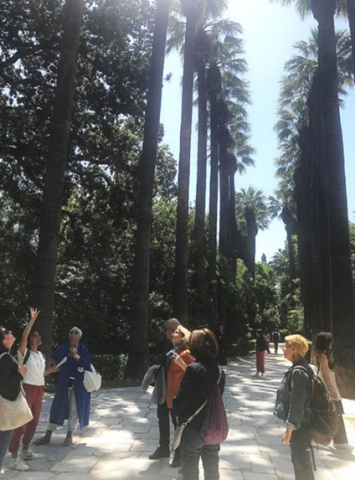 A group of people standing on a path amidst tall, green trees.